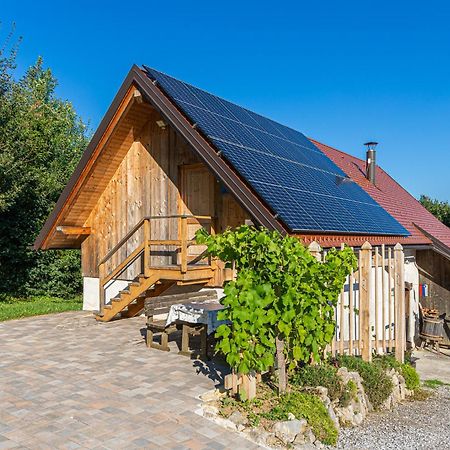 Vineyard Cottage Skatlar 3 Otočec Zewnętrze zdjęcie