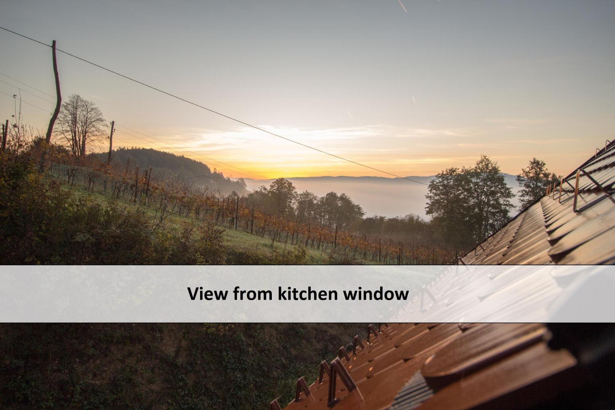 Vineyard Cottage Skatlar 3 Otočec Zewnętrze zdjęcie