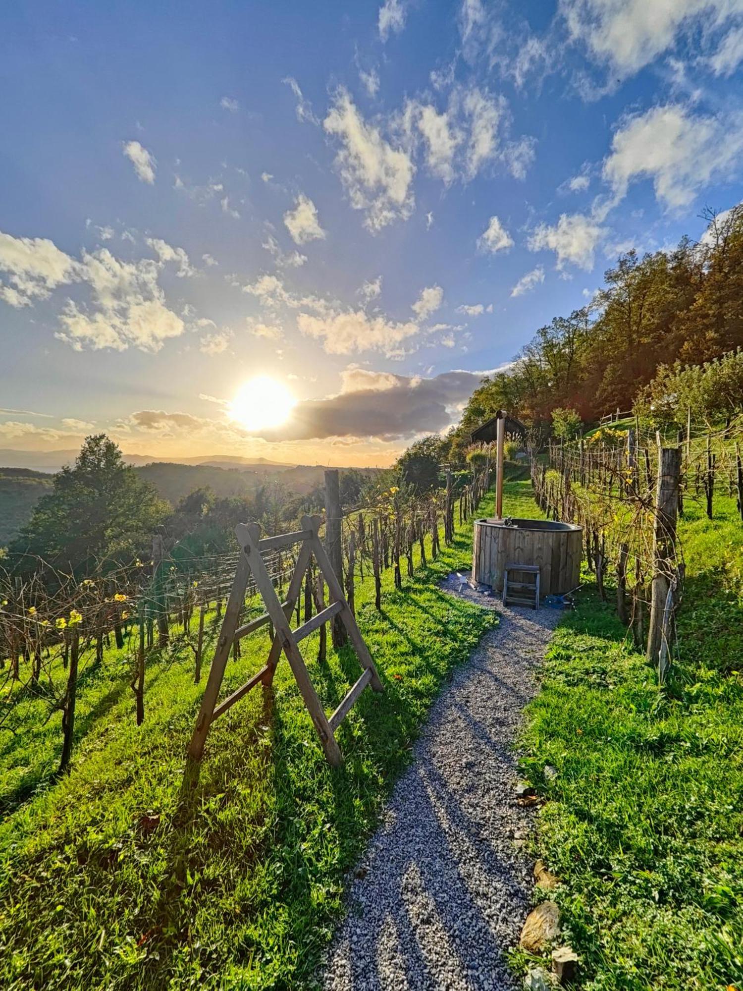 Vineyard Cottage Skatlar 3 Otočec Zewnętrze zdjęcie