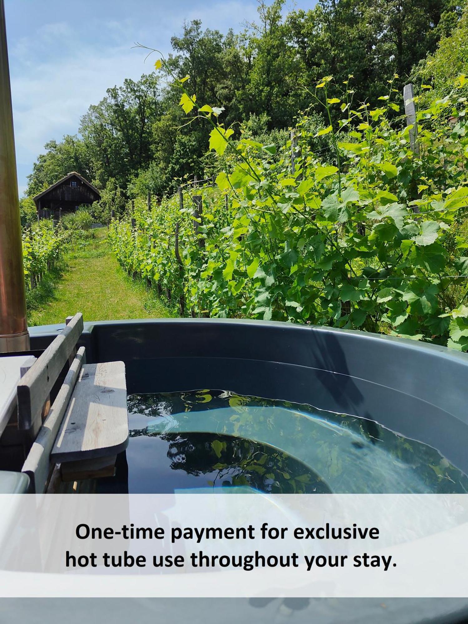 Vineyard Cottage Skatlar 3 Otočec Zewnętrze zdjęcie